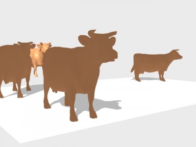 cowtest.jpg