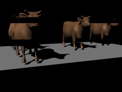 cowtest2.jpg