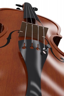 violino4-1.jpg