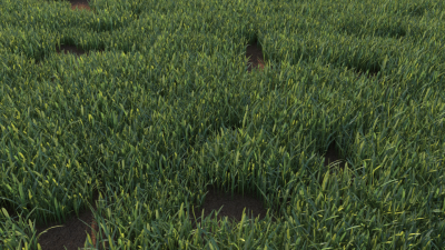 Grass_Clumps-Kray.png