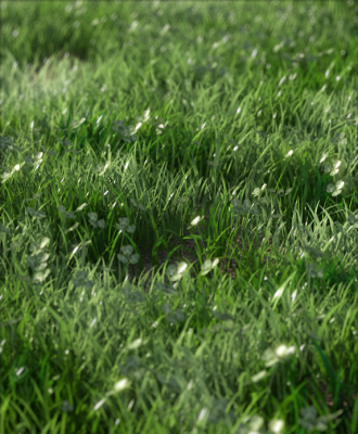 Grass_Kray.png