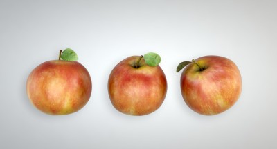 Apple View 1.jpg